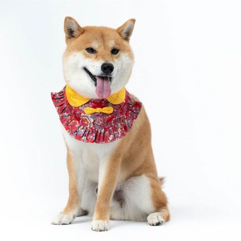 my-11134207-7ras8-m4hc2f9efgl5e1