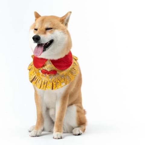 my-11134207-7rasl-m4hc2f9eguqh81