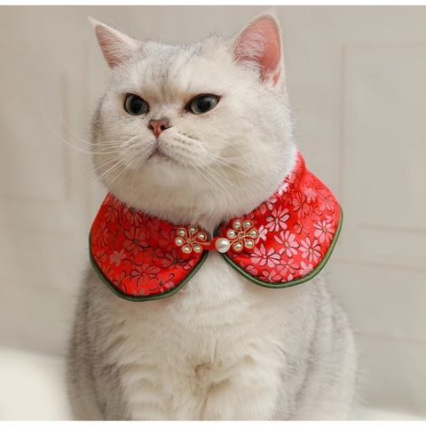 my-11134207-7rasl-m4hb9ouc6bi13f