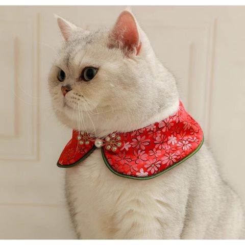 my-11134207-7rasd-m4hb9ou26pp5f9