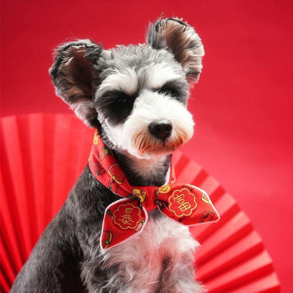 my-11134207-7rasf-m4hce8u5ndlld1