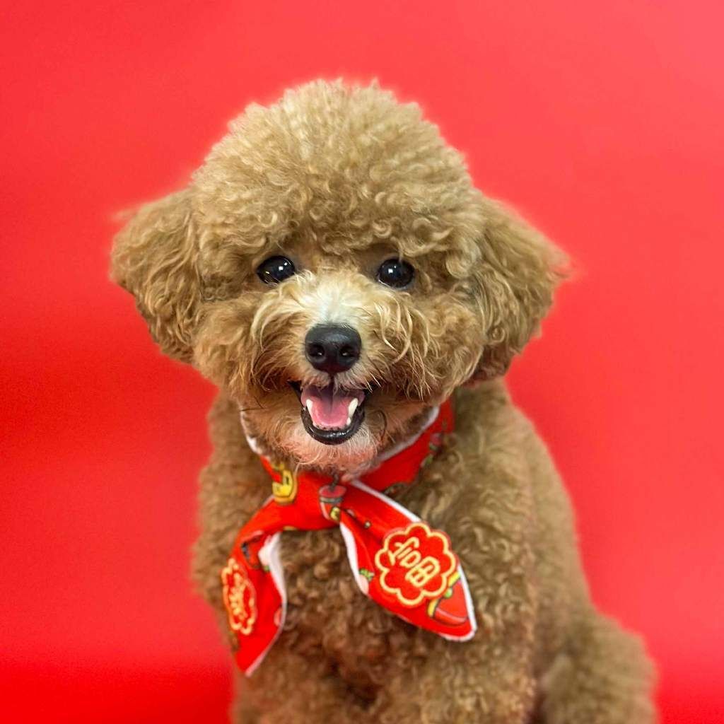 my-11134207-7rasg-m4lbemeyoz2xfc