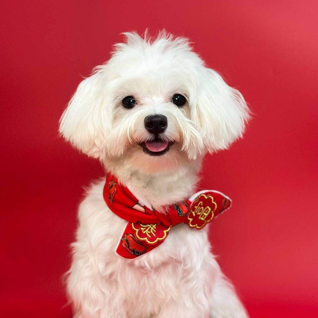 my-11134207-7rasf-m4lbemf8okvt6c