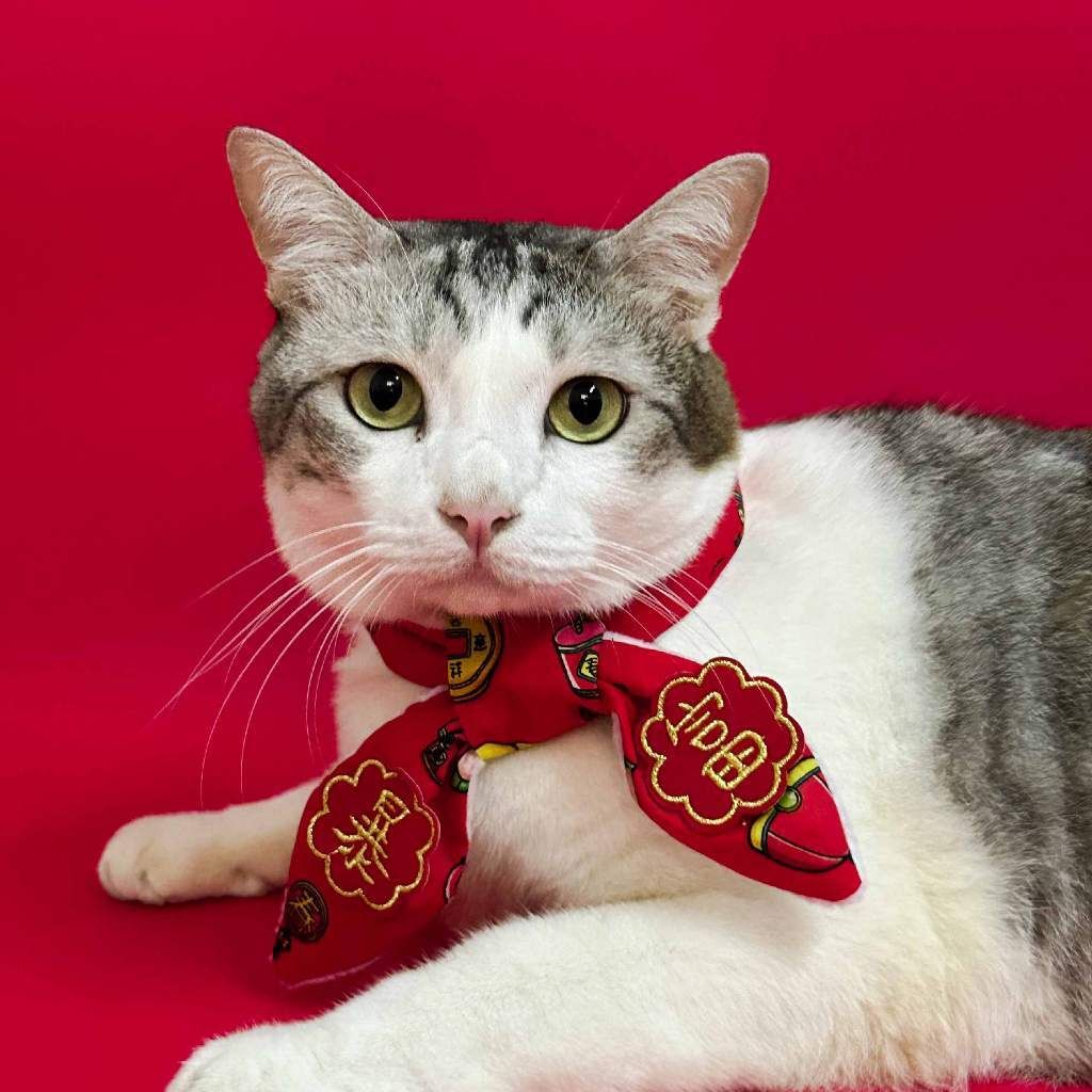 my-11134207-7rasm-m4lbemf8okgp95