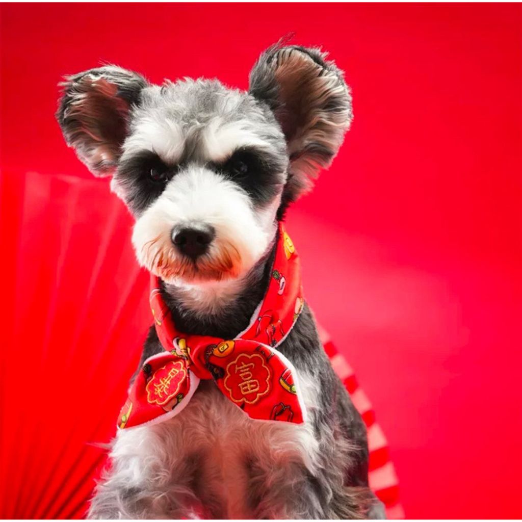 my-11134207-7rasf-m4ppq3hd1rbta5