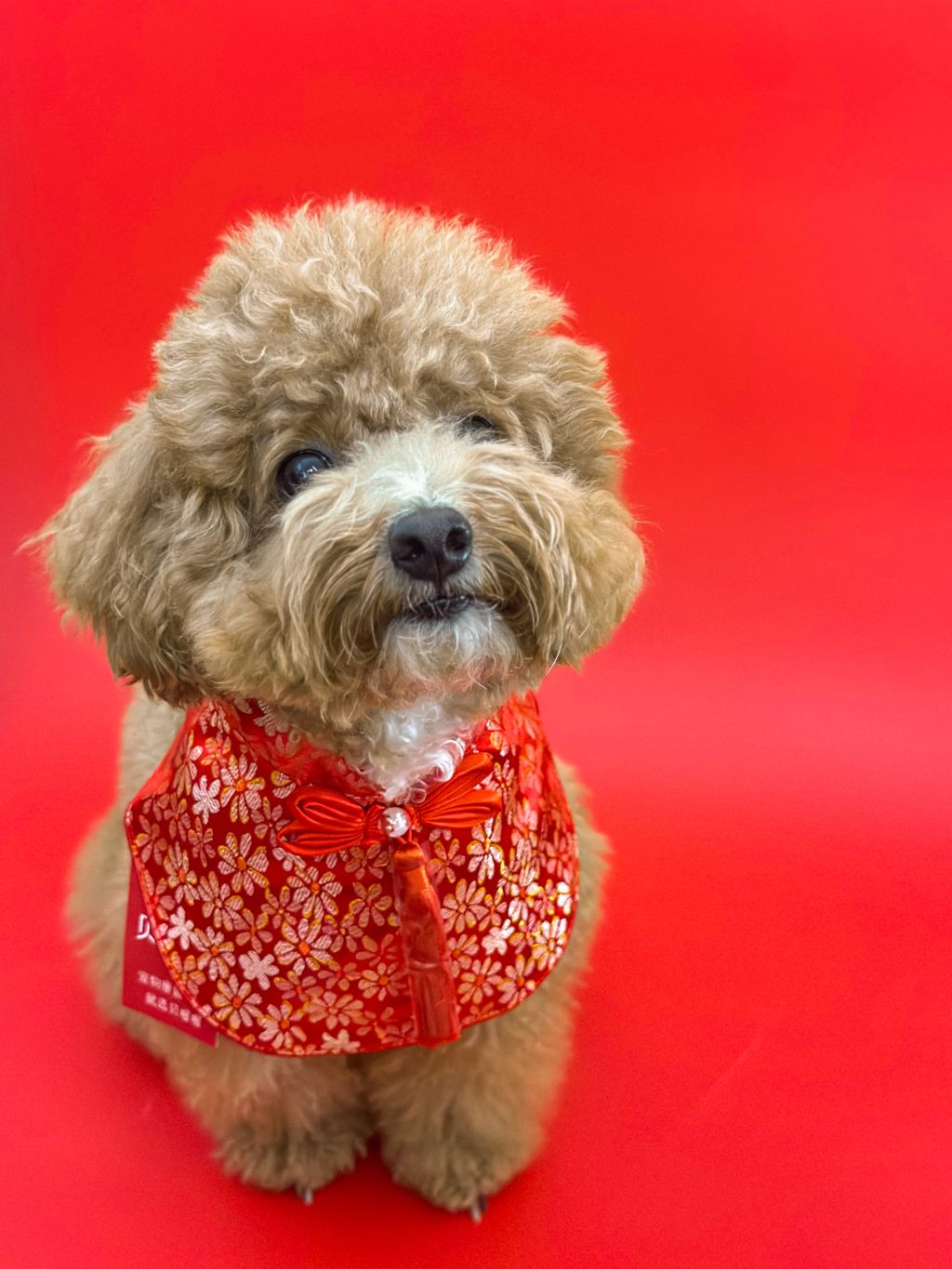 image_1BBFF246-D645-4550-8A14-56A950BDF8F5_1768371673