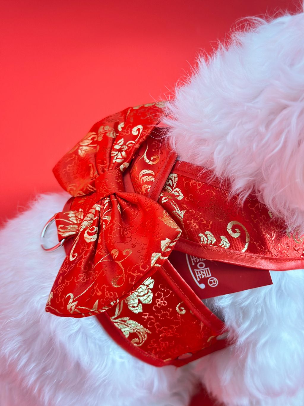 image_EDC300DB-A453-4896-97F5-757FA92C10B4_1768373271