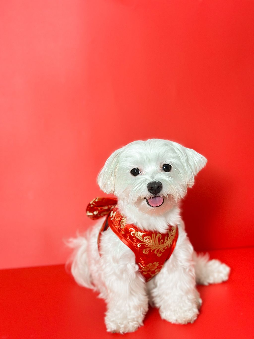 image_59A35C13-CB7E-4DF7-9498-4D3226910B2F_1768373271