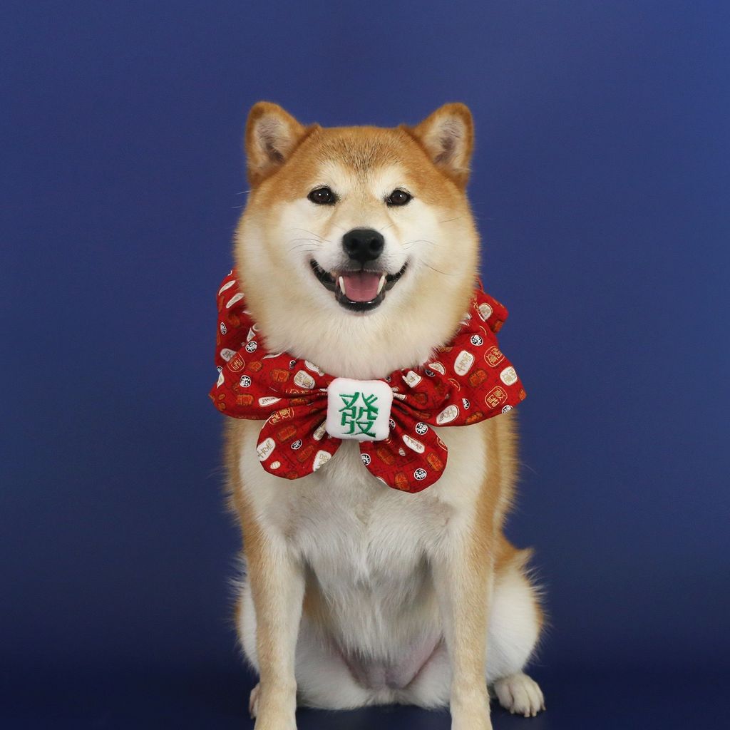 image_092FC2DB-B404-4021-BB19-9FA9BAC753DF_1768374307