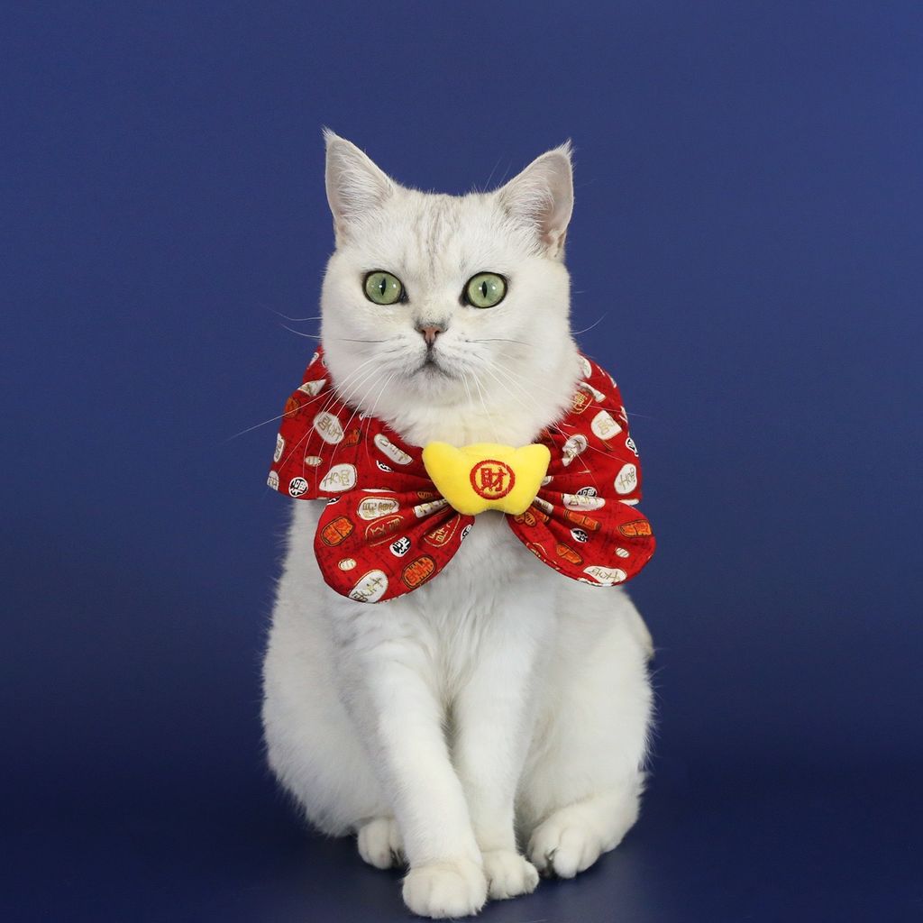 image_7672B06A-0C29-4413-A06D-3BB667248A3B_1768374307