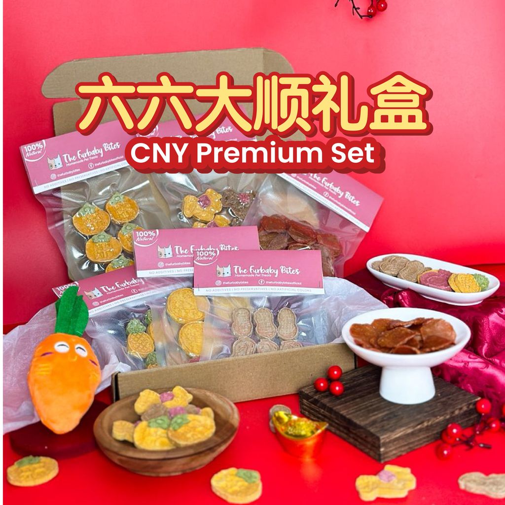 CNY biscuits-21