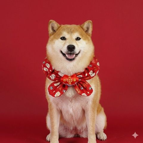 image_161A70D5-3935-4F6A-8BF2-12398AFFA61F_1769656062