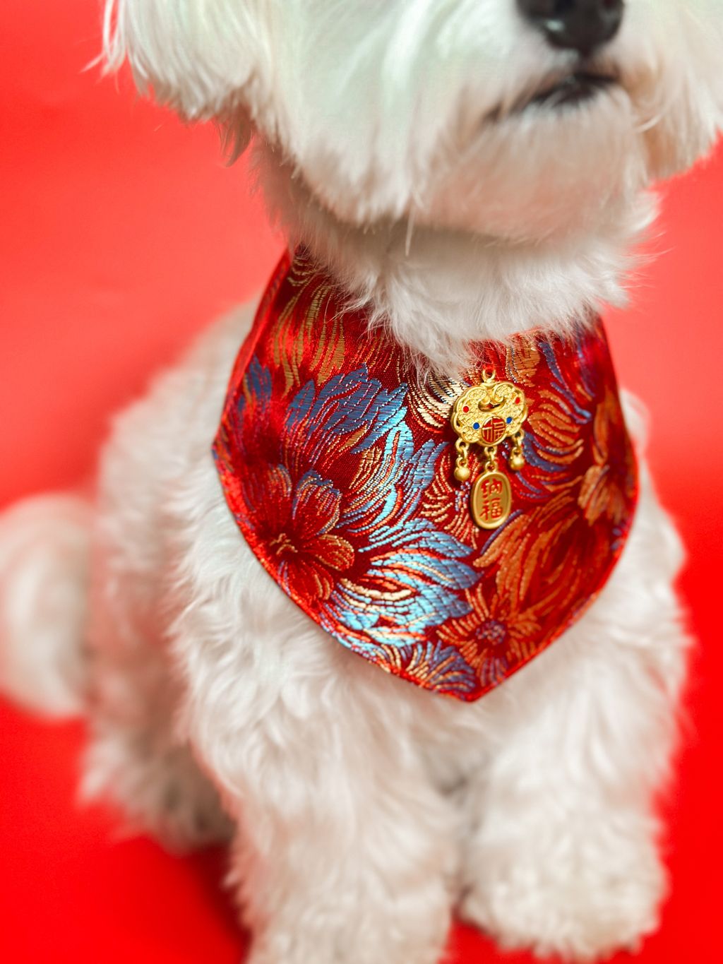 image_A9F34BEF-1012-45CE-92AC-24F085D88BAA_1768371651