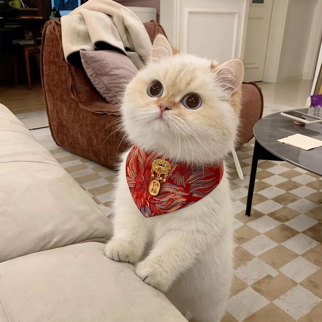 image_4C681E41-13EB-4B4C-ACA3-C43CE532AF73_1769763207