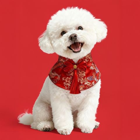 image_0F4E8C54-8D53-401B-89C9-25B958B45EE3_1769763610