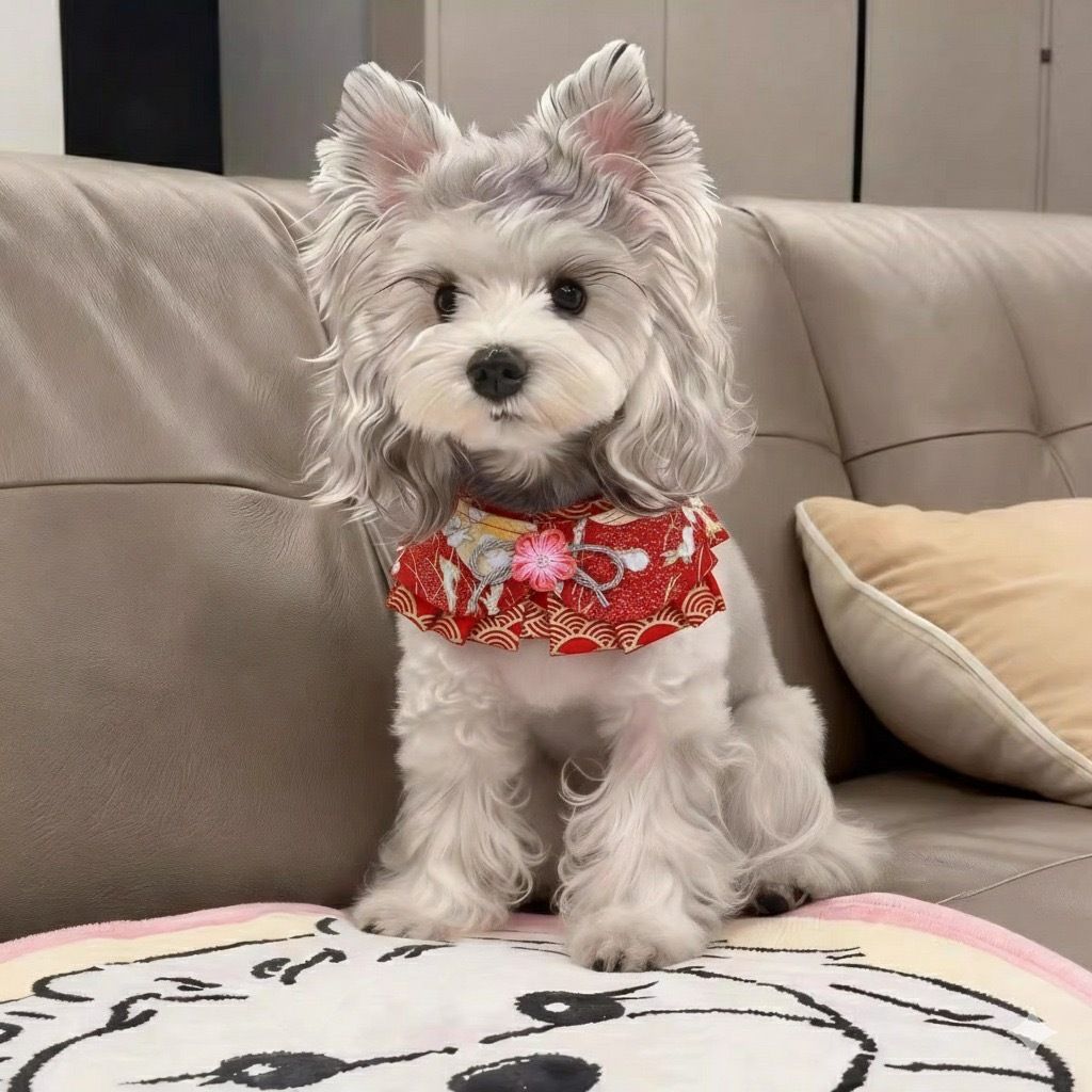 image_AC1EBC97-CB59-4EAC-9A7B-104D9CCD0F19_1769765144