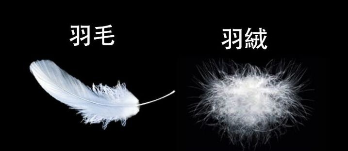 1545104370-1730924936_l