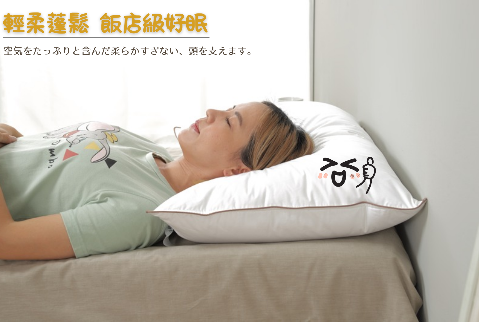 羽絨低枕商品介紹