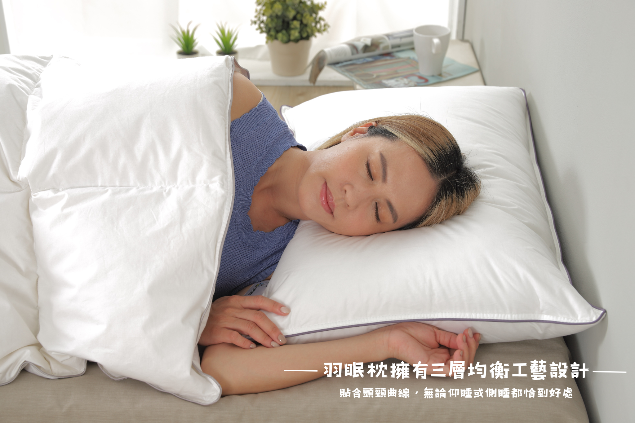 羽絨高枕介紹