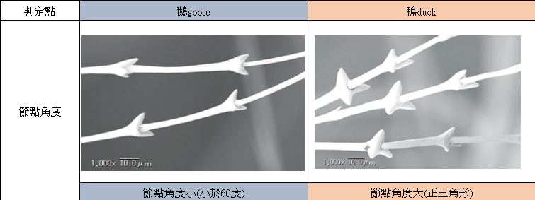 螢幕擷取畫面 2026-01-09 151242