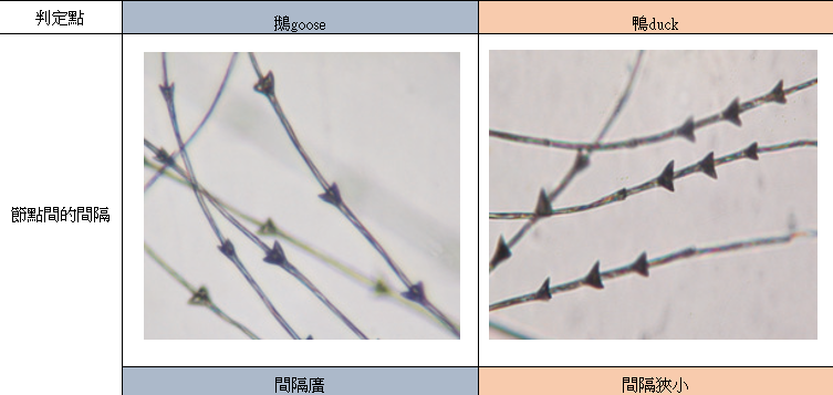 螢幕擷取畫面 2026-01-09 151201