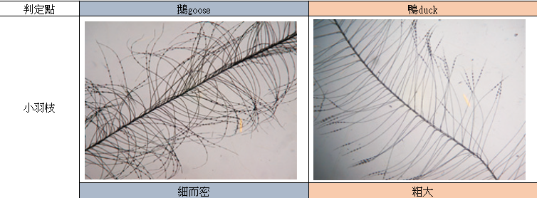 螢幕擷取畫面 2026-01-09 150950