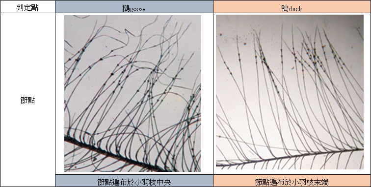 螢幕擷取畫面 2026-01-09 151041