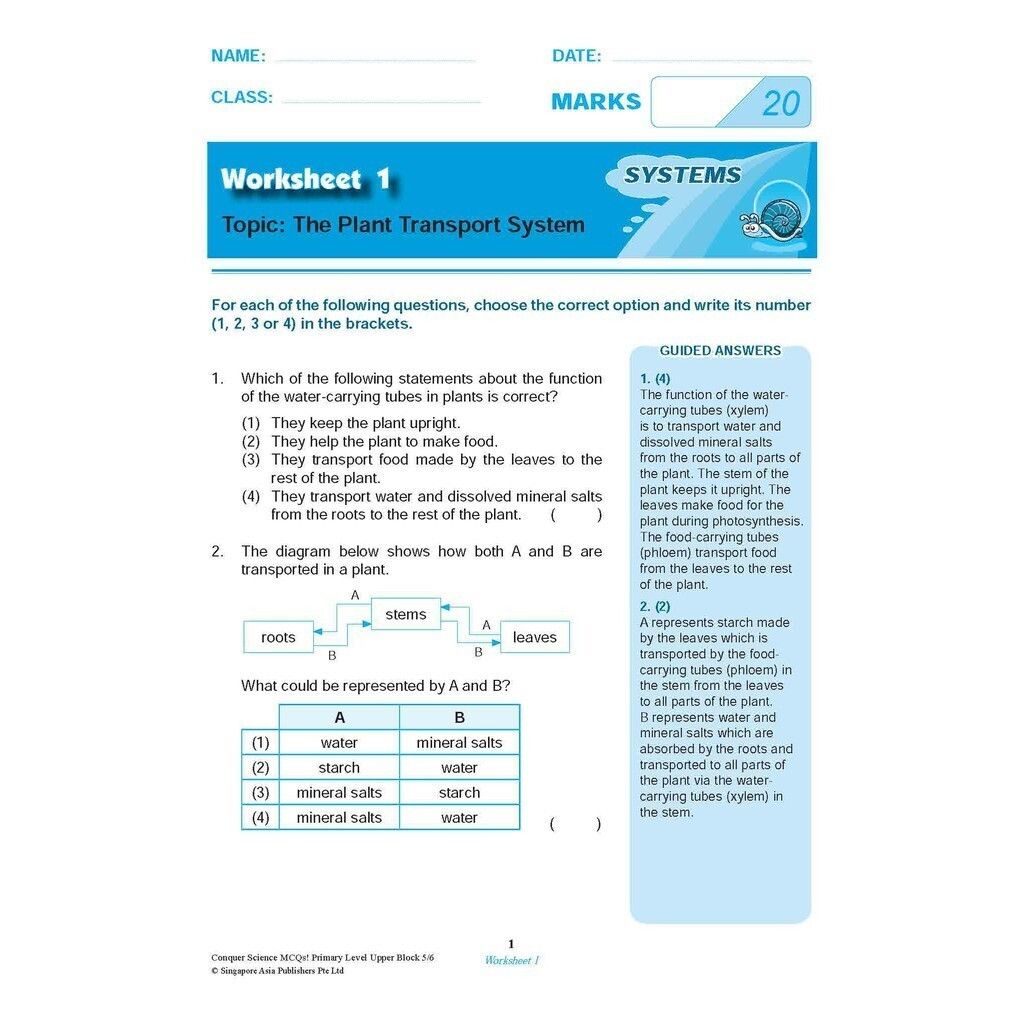 my-11134207-7r98p-ln1nkle8kmv2ec