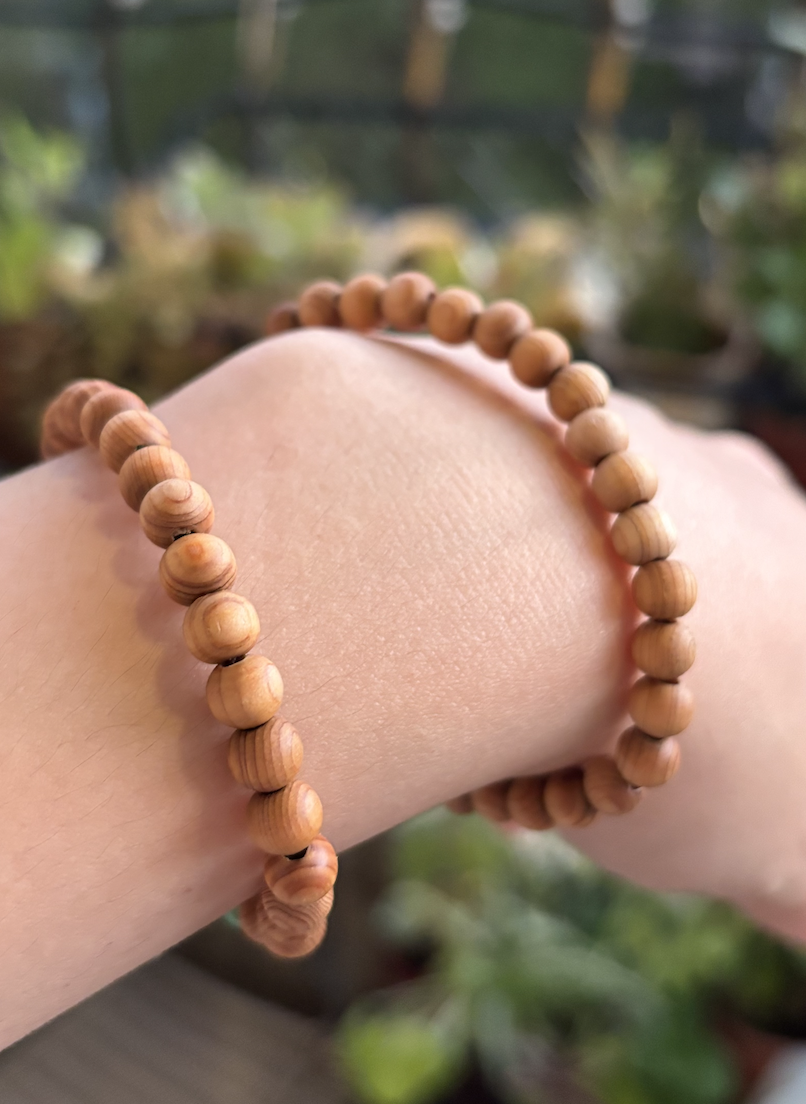 Screen Shot 2025-11-29 at 7.44.12 PM