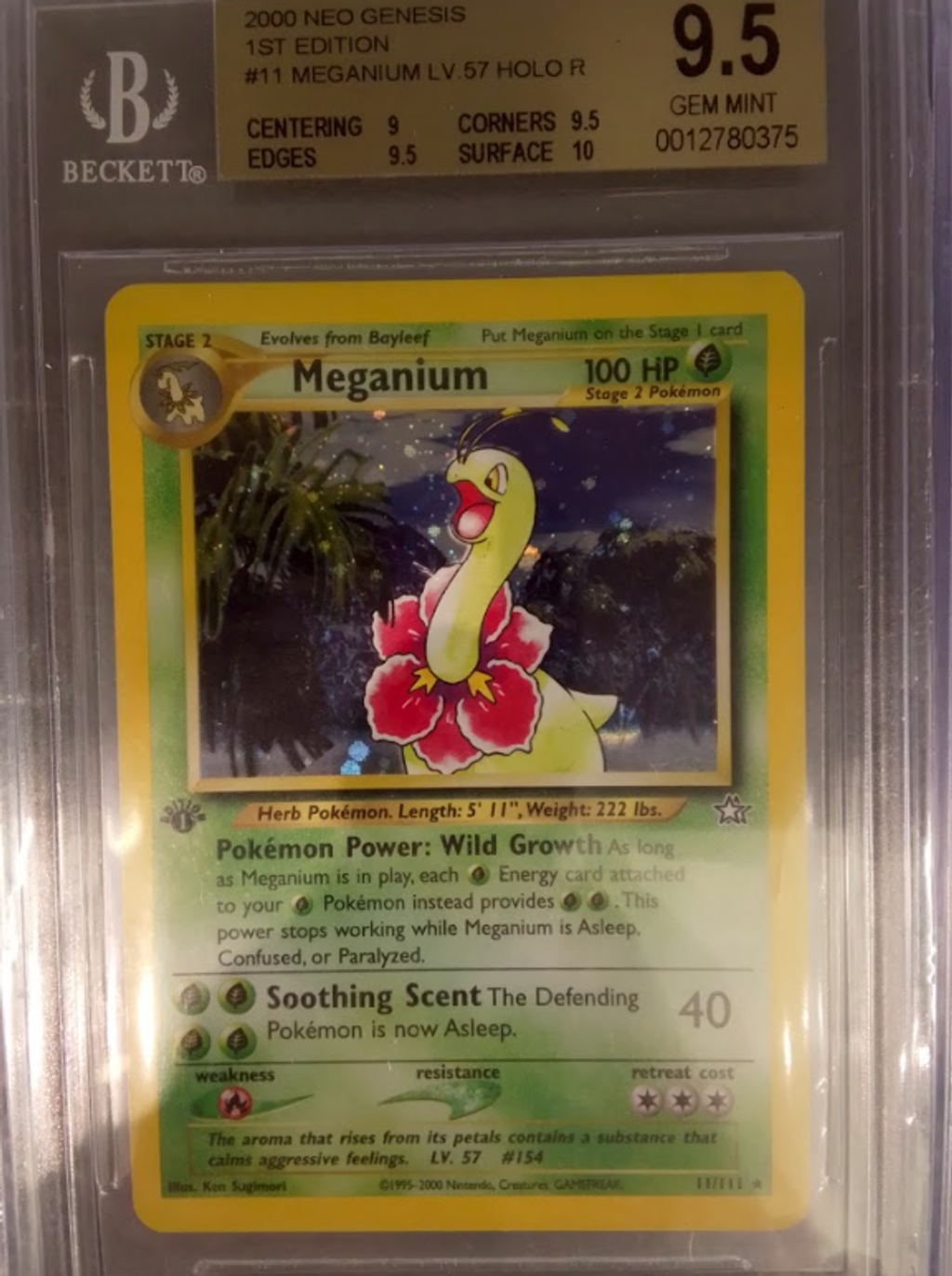 Screenshot 2025-12-18 104743