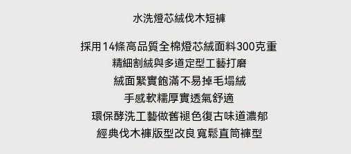 0610_26SS31介紹