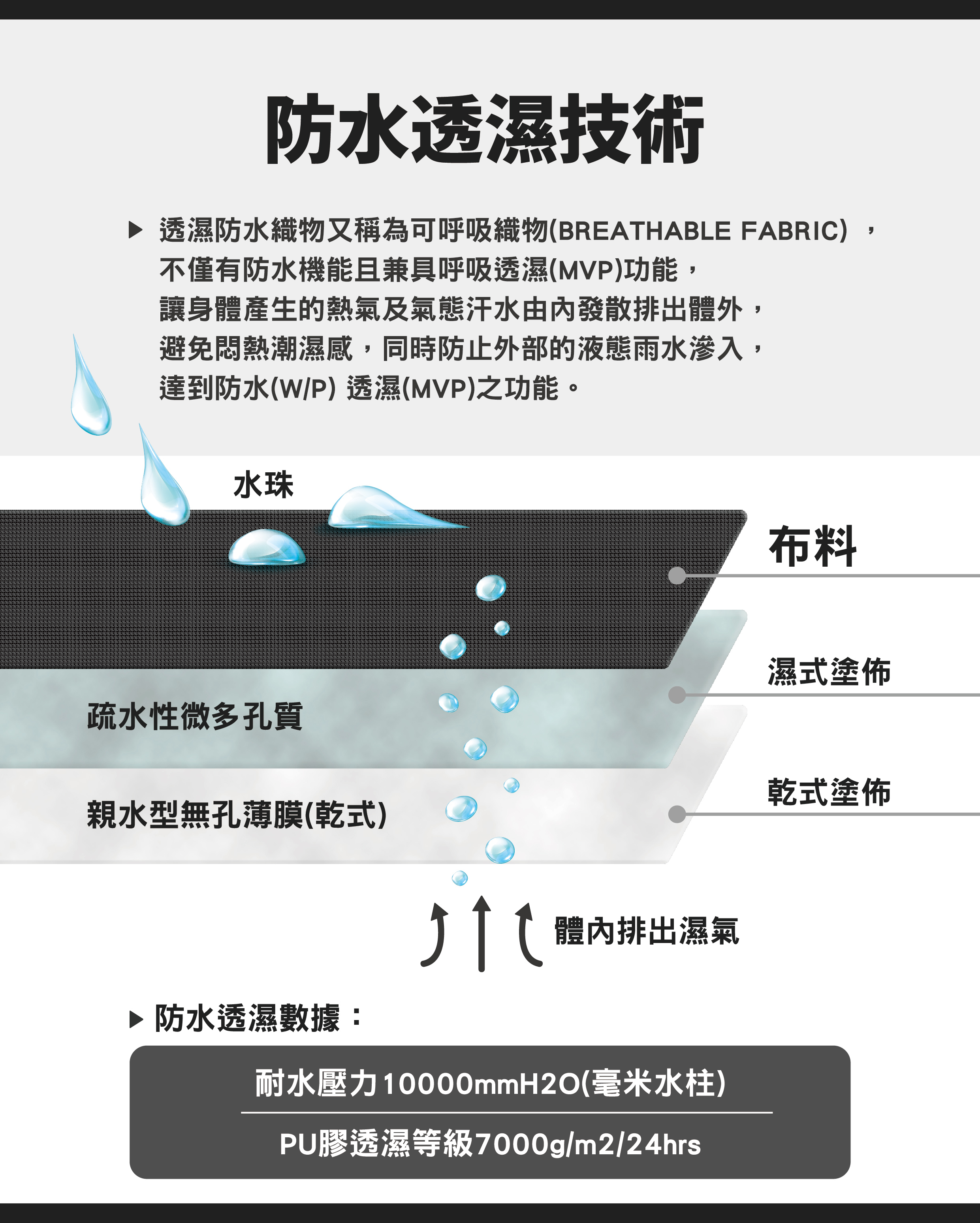 全新機能支線-介紹-3