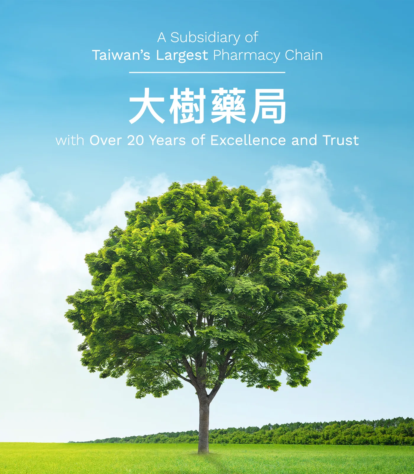  | Great Tree International