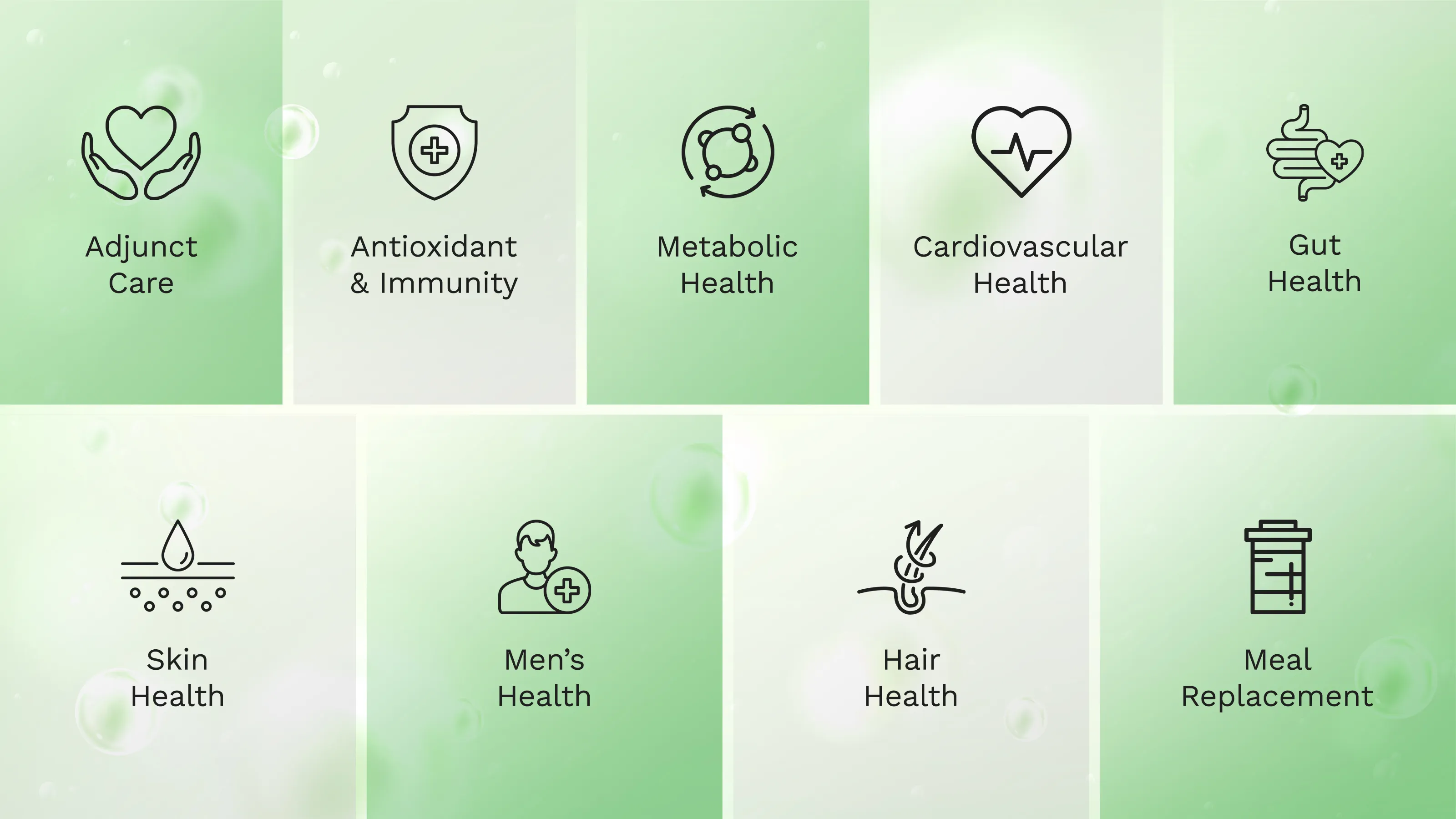  | Great Tree International