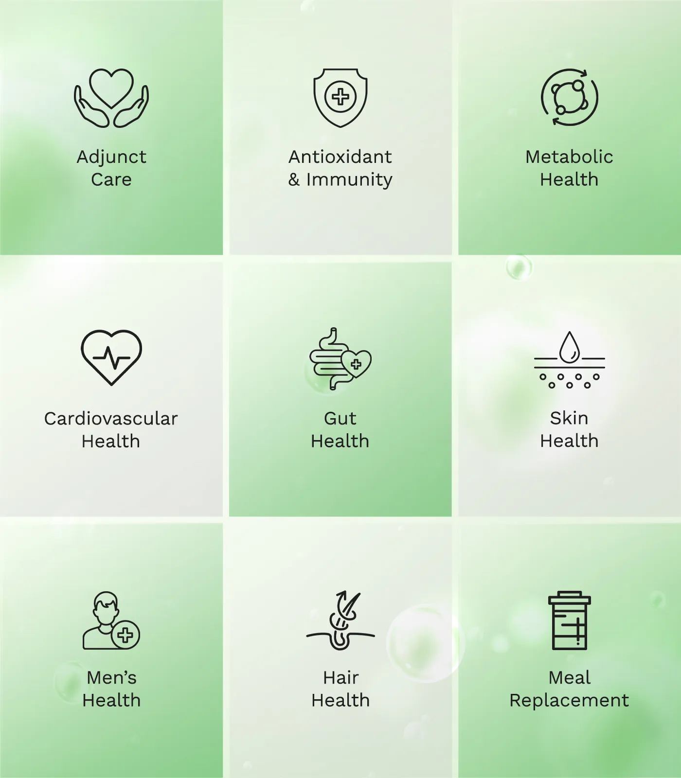  | Great Tree International