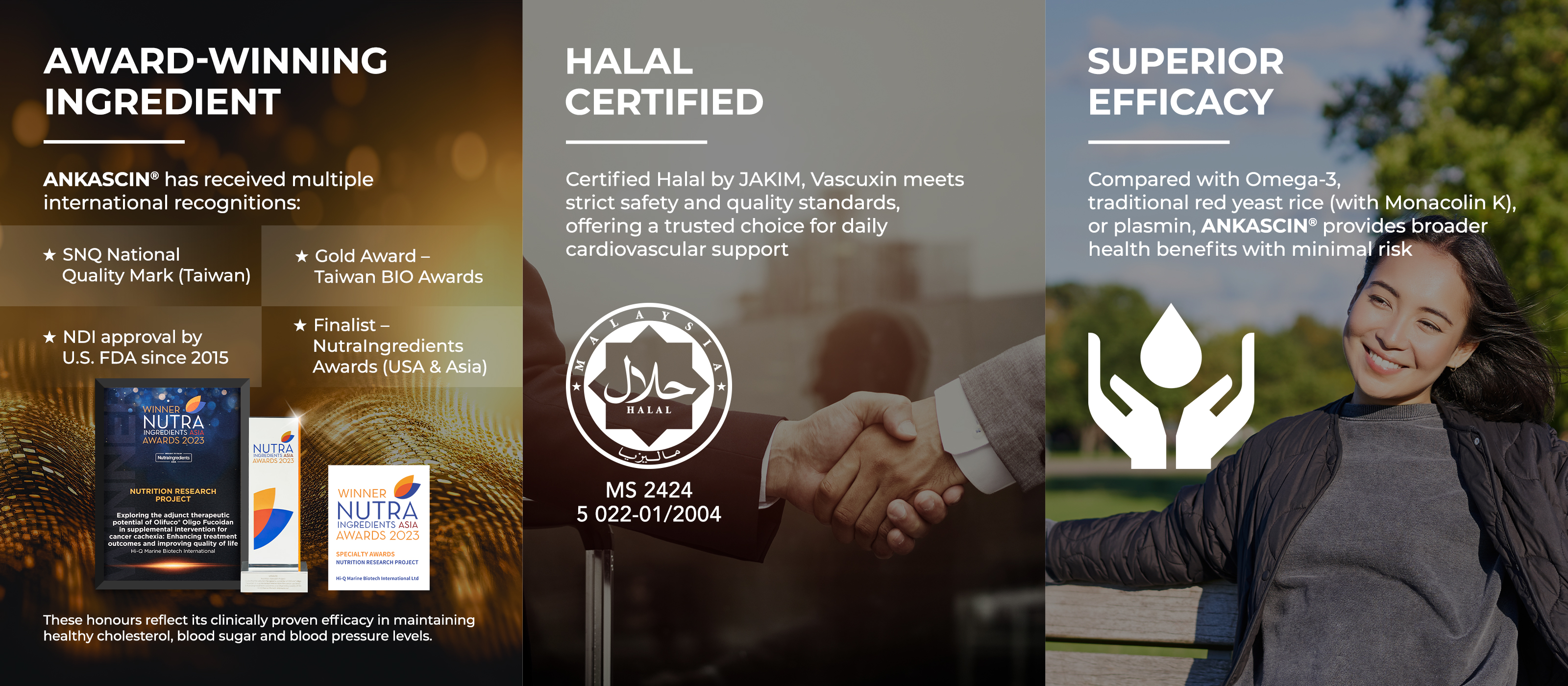 Vascuxin-collection-6