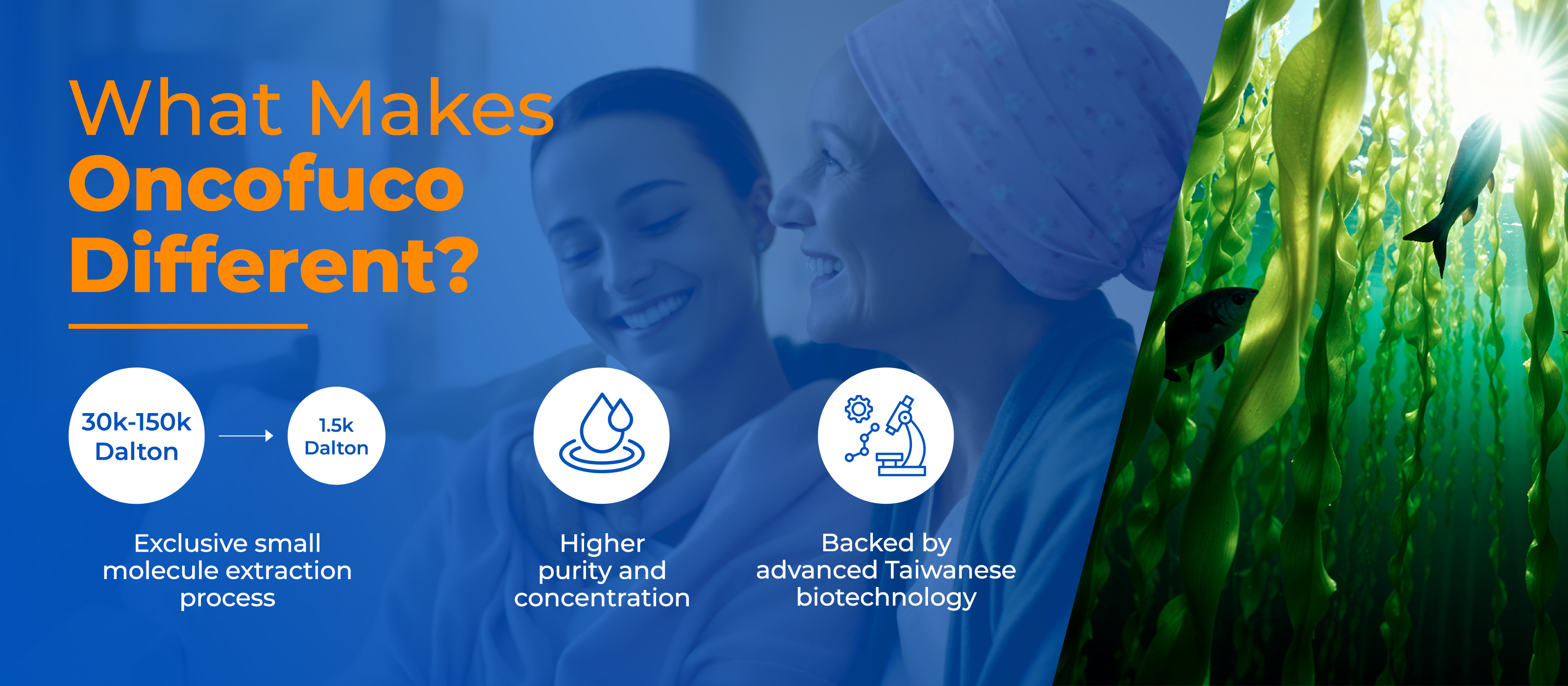 Oncofuco-collection-2