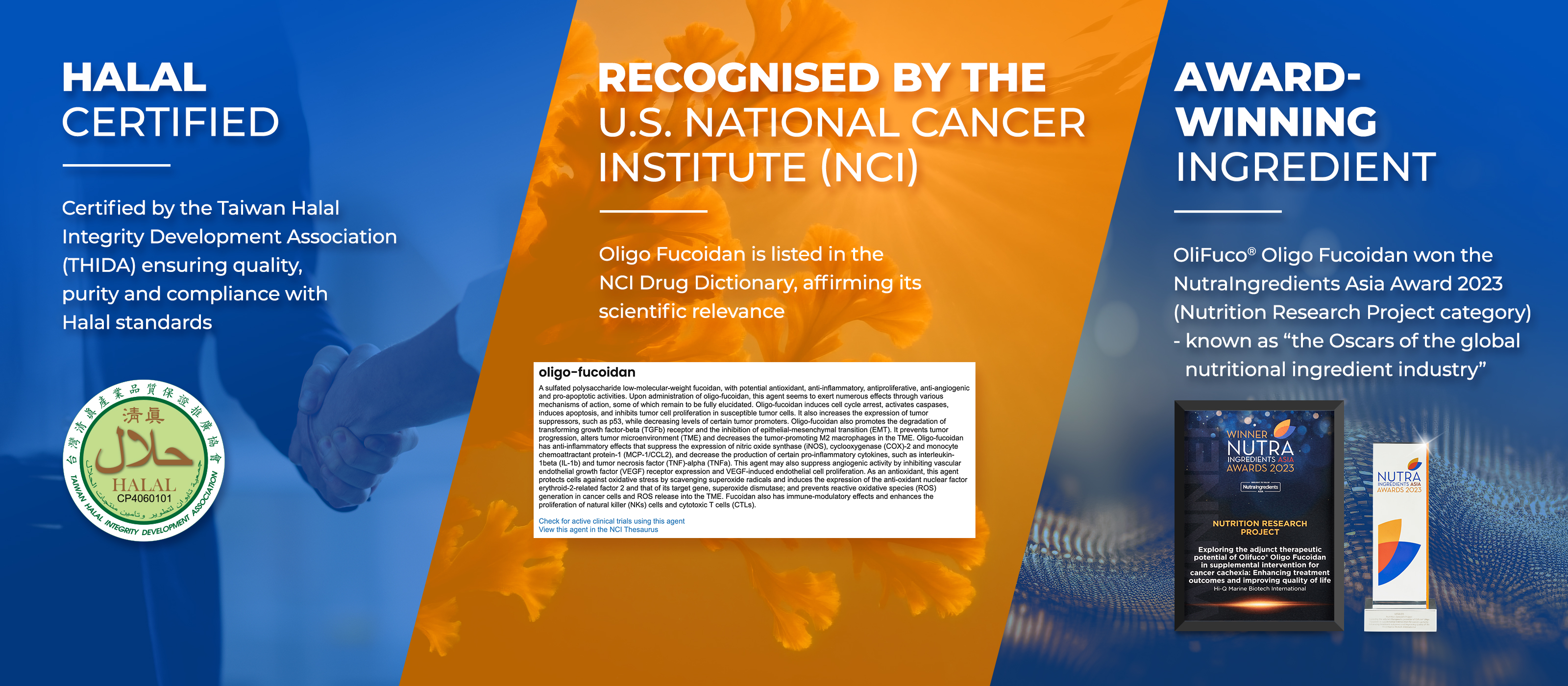 Oncofuco-collection-4