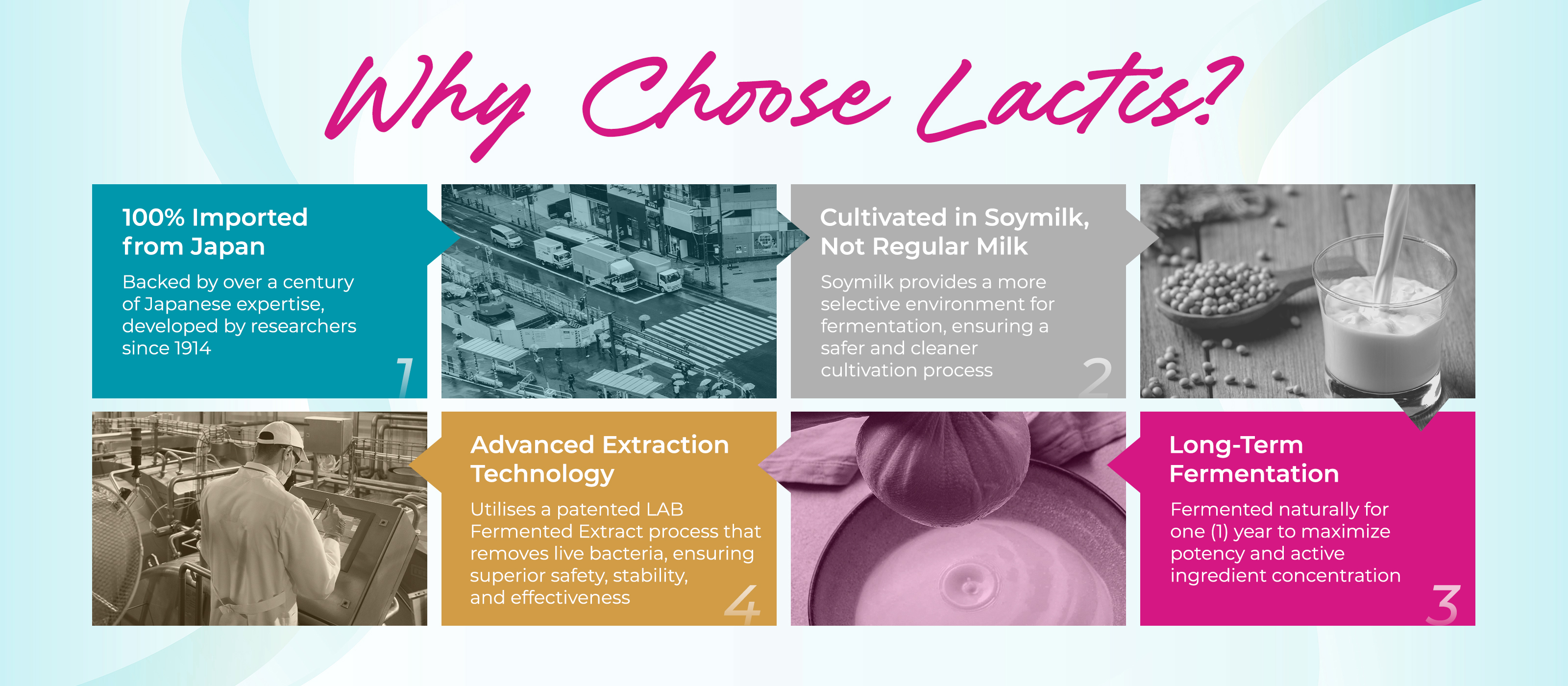 Lactis-collection-3 (1)