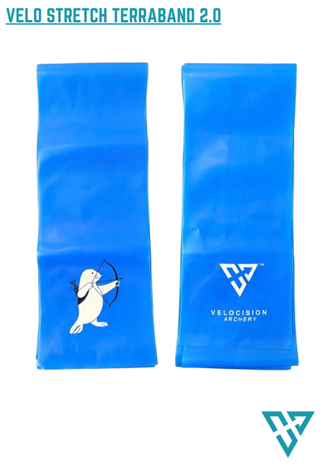 SHOPEE 2.0 - 2026-03-10T104344.855