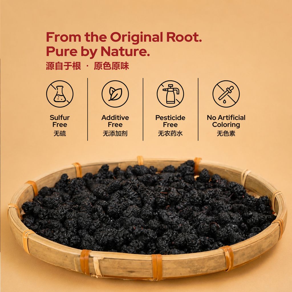 Mulberry-26