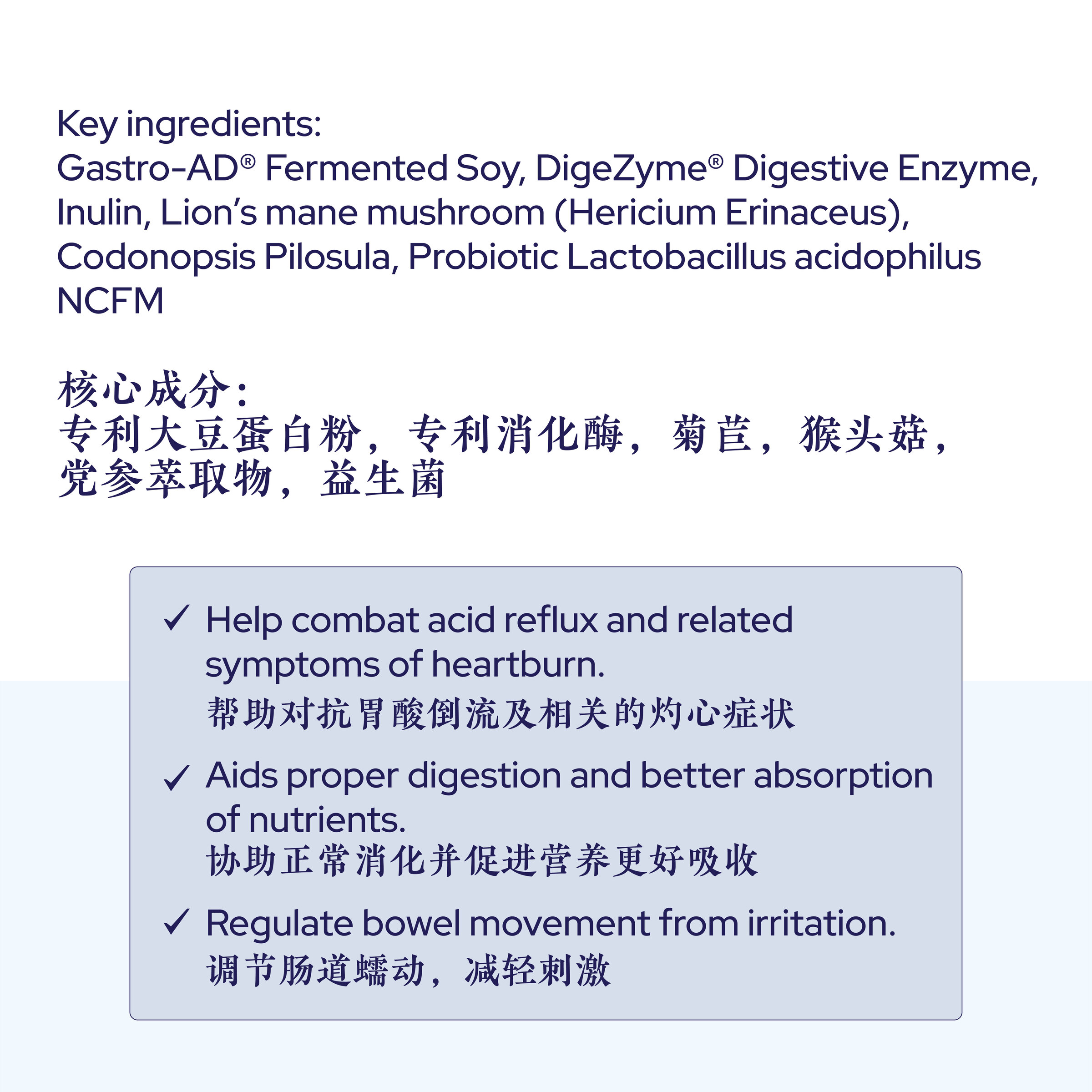 Gastromate-22