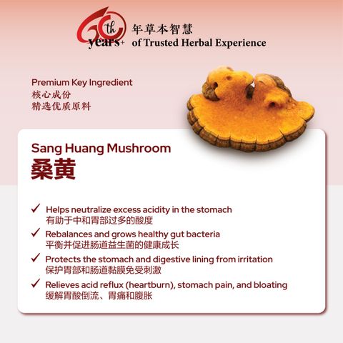 Nouri Herbs Grains Series-34