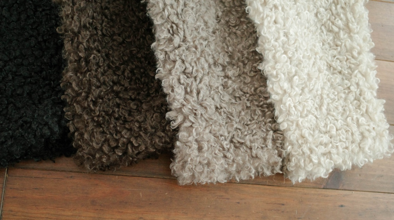 螢幕擷取畫面 2025-11-19 152736