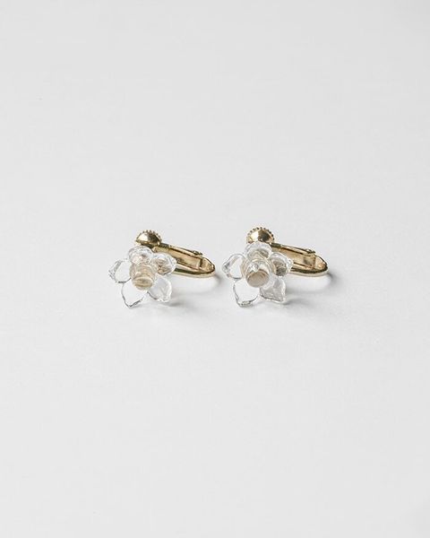 000000000250_0FPV1a9