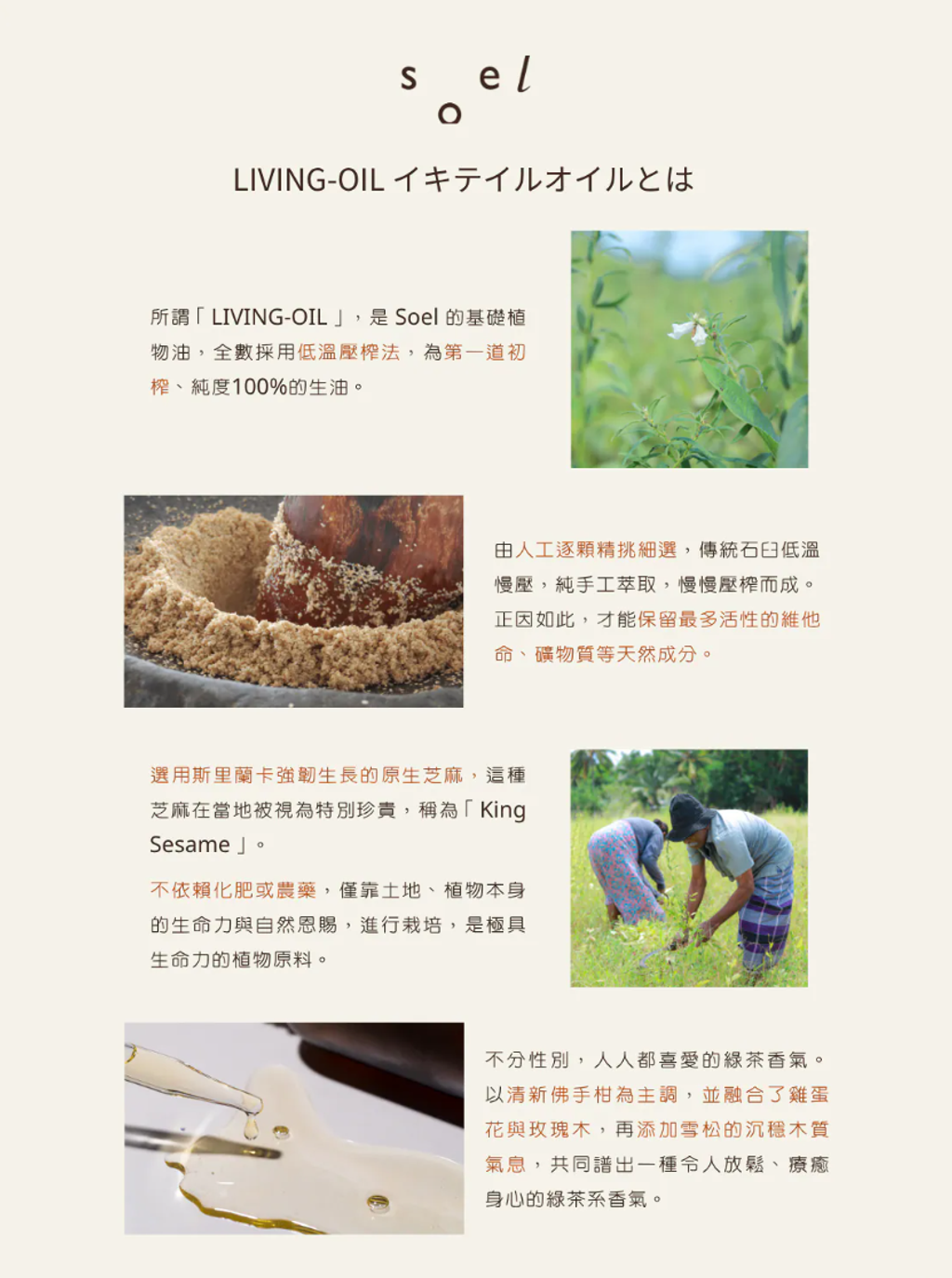 螢幕擷取畫面 2025-09-05 180019