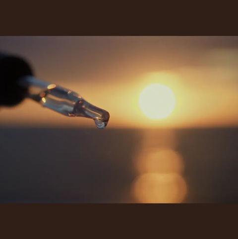 螢幕擷取畫面 2025-09-05 181054