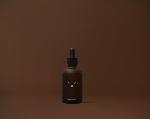 螢幕擷取畫面 2025-09-05 181049