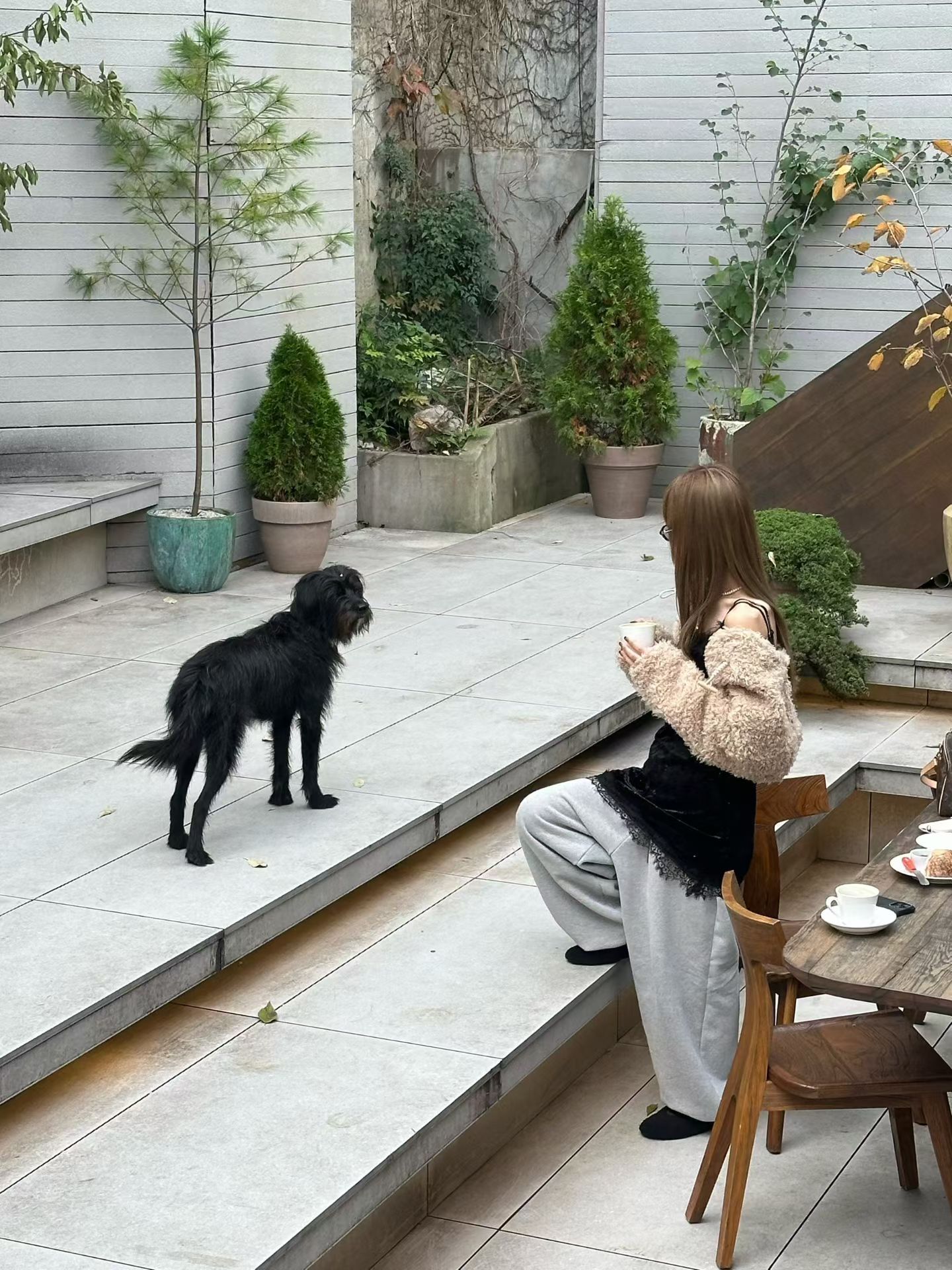 1cae3b03f1d9c9a292db5afa1af480c6