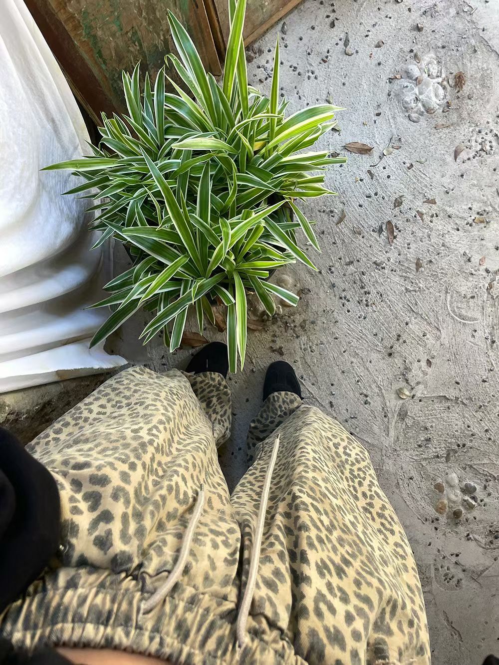 image_F69CFC22-B30D-4D28-AB83-FF2021E1F7FB_1763921174